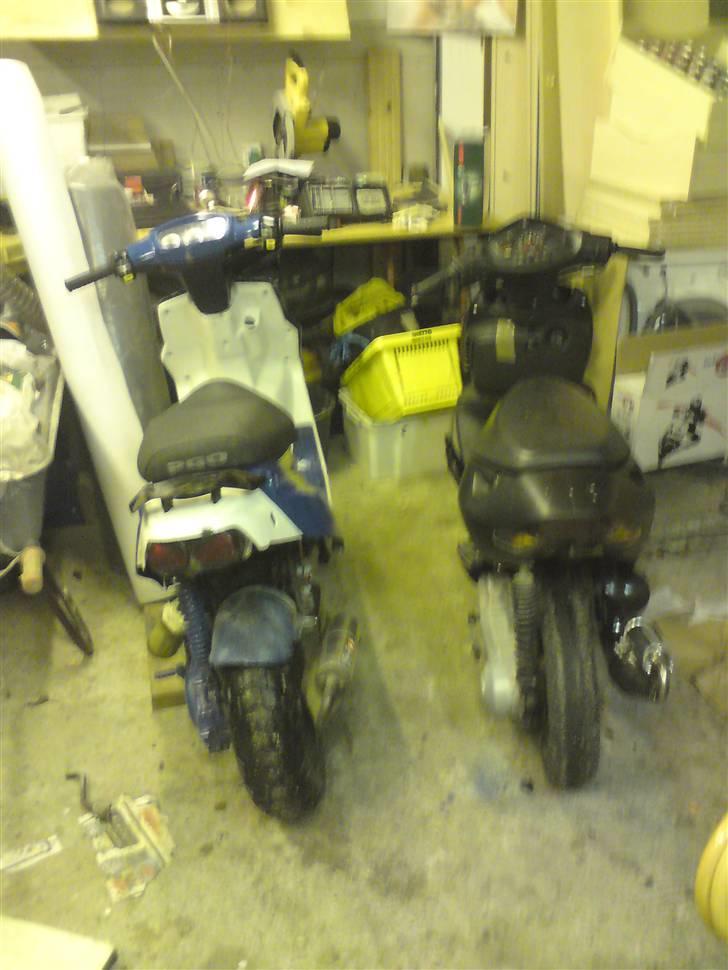 PGO hot 50 evo bytte til jog  billede 8