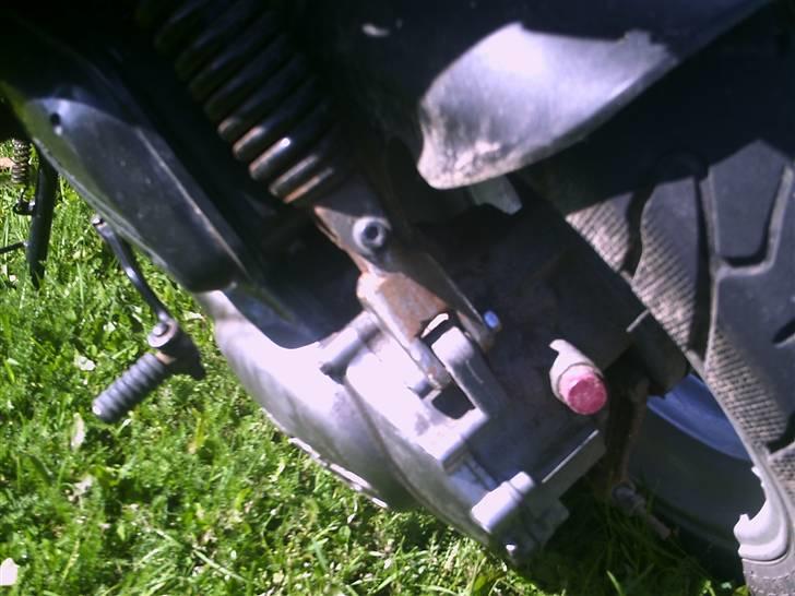 PGO Hot 50 billede 5