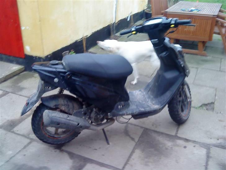 PGO hot 50 VÆK billede 3