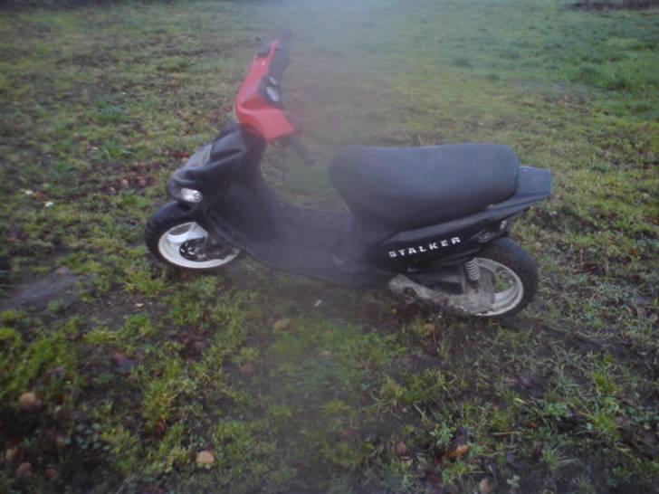 Gilera stalker  byttet billede 5