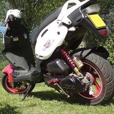 PGO PMX SPORT No Fear (SOLGT)