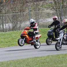 Piaggio Nrg Mc3 Evo1 16.72hk