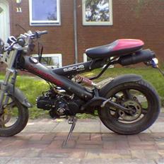 Sachs madass (SOLGT)