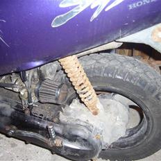 Honda SFX LC (Prince) - SOLGT