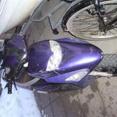 Honda SFX LC (Prince) - SOLGT