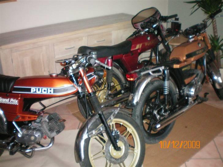 Puch grandprix billede 6