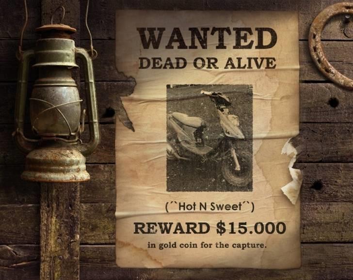 PGO Hot 50 *BYTTET* billede 11