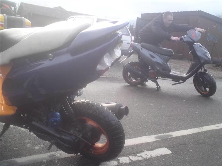 Honda sfx byttet til stalker billede 3