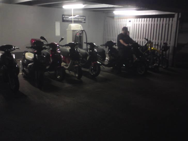 Honda sfx byttet til stalker billede 4