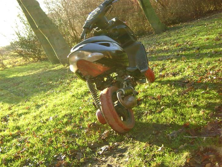 Aprilia sonic FØR  billede 11