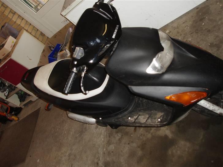 Honda sfx - gammel billede 1