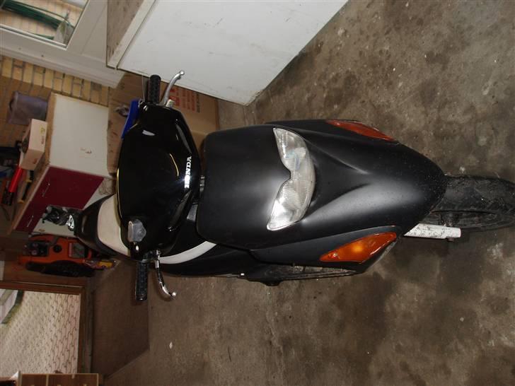 Honda sfx - gammel billede 2