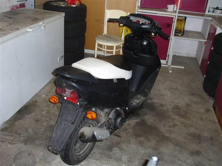 Honda sfx - gammel billede 4