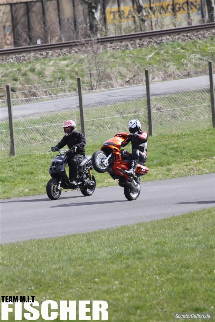 Piaggio Nrg Mc3 Evo1 16.72hk billede 3