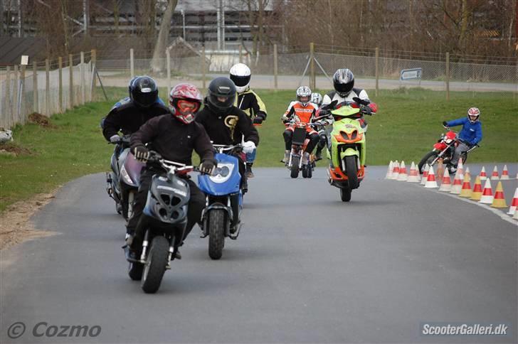 Piaggio Nrg Mc3 Evo1 16.72hk billede 7