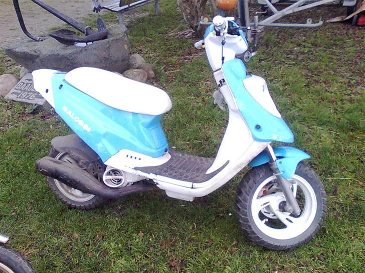 PGO hot/Pmx solgt billede 9