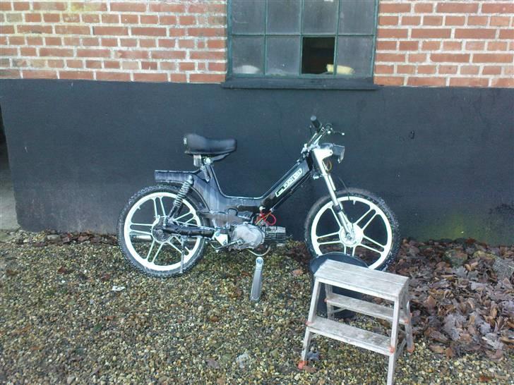 Puch Maxi KL _ byttet - 13-12-09 vasket og poleret billede 3