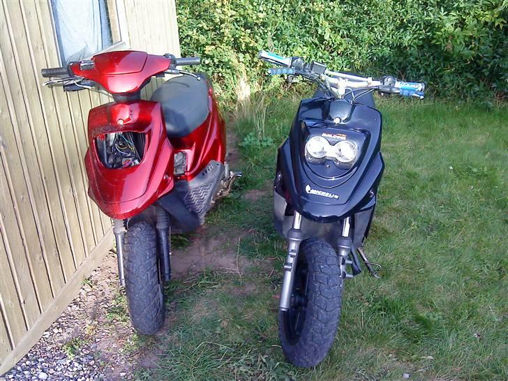 PGO hot 50 billede 18