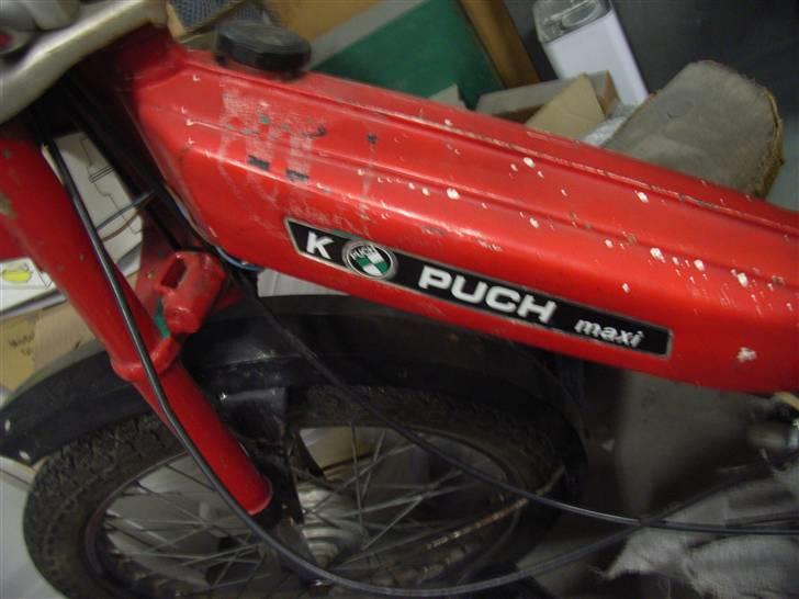 Puch Maxi billede 7