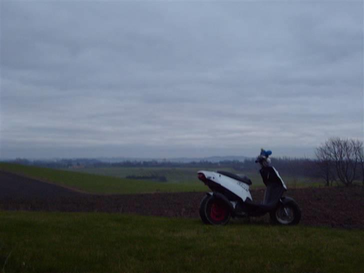 PGO hot 50 billede 7