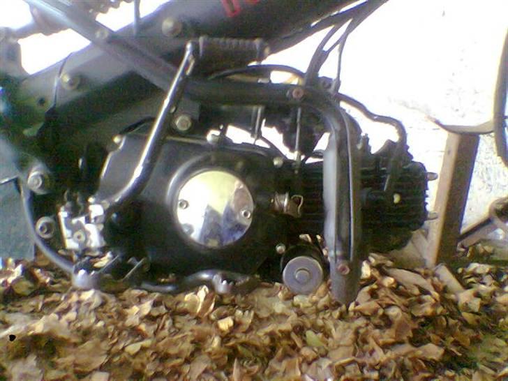 Sachs madass (SOLGT) billede 4