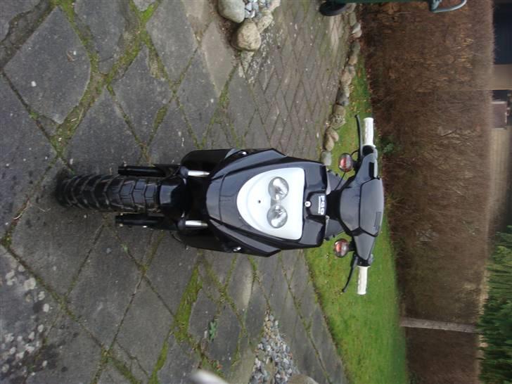 PGO Hot 50 (SOLGT) billede 5