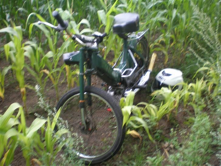 Puch maxi k  billede 2