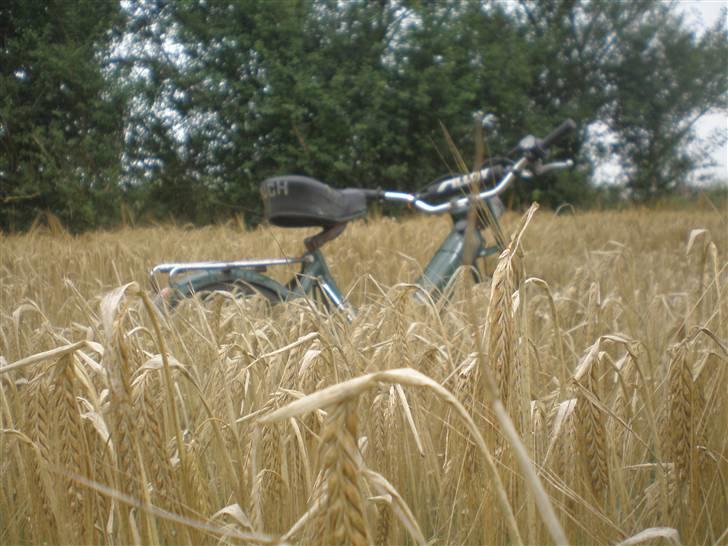 Puch maxi k  billede 3