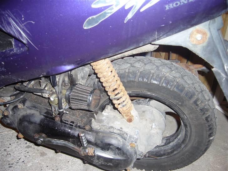 Honda SFX LC (Prince) - SOLGT billede 2