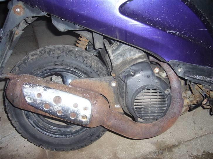 Honda SFX LC (Prince) - SOLGT billede 6