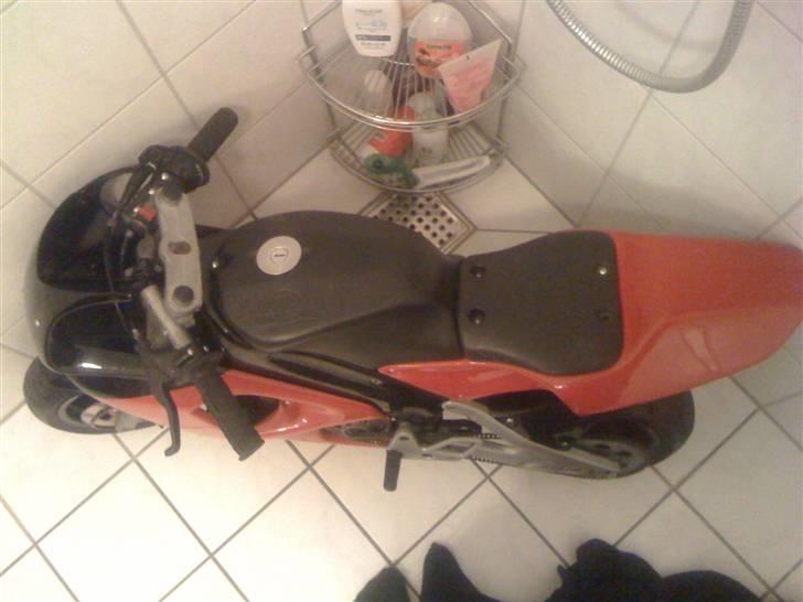 Polini Dreambike 911 Ac billede 3