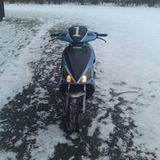 Benelli 491 Byttet til RX 50