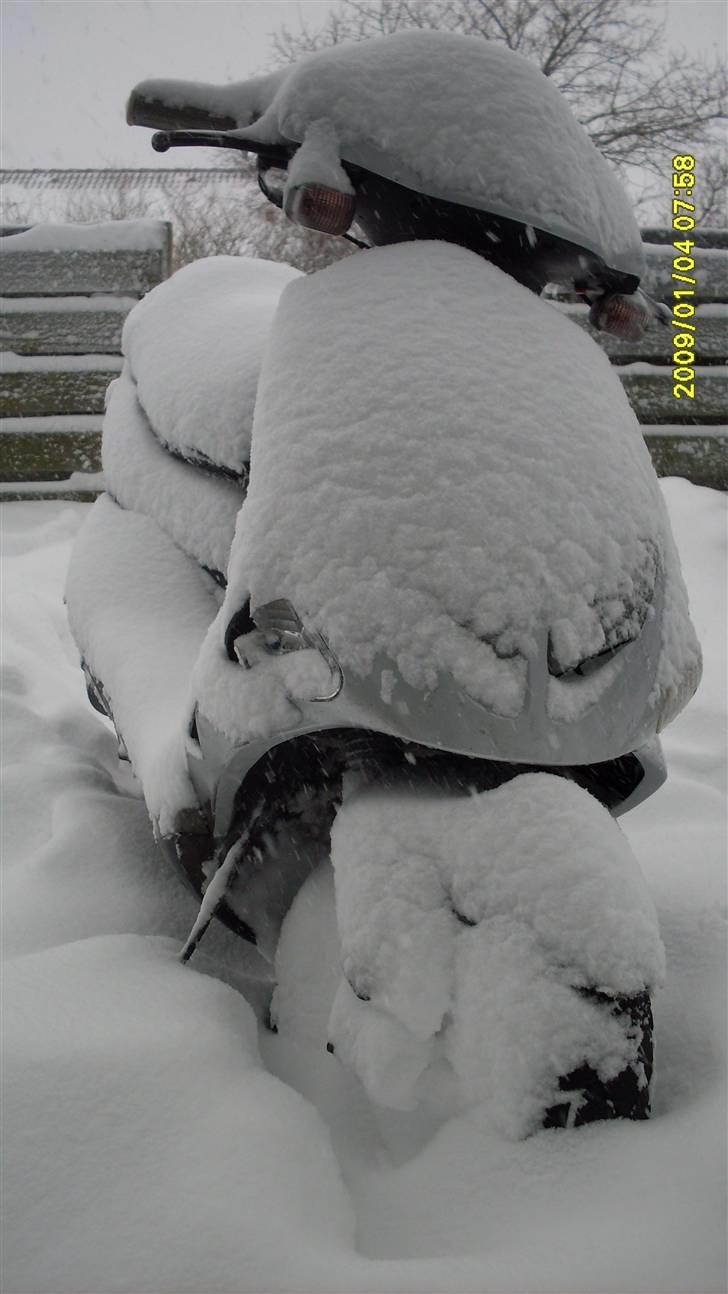 PGO Dr big  a,k,a Big doc billede 8