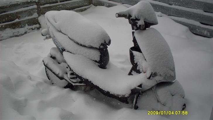 PGO Dr big  a,k,a Big doc billede 9