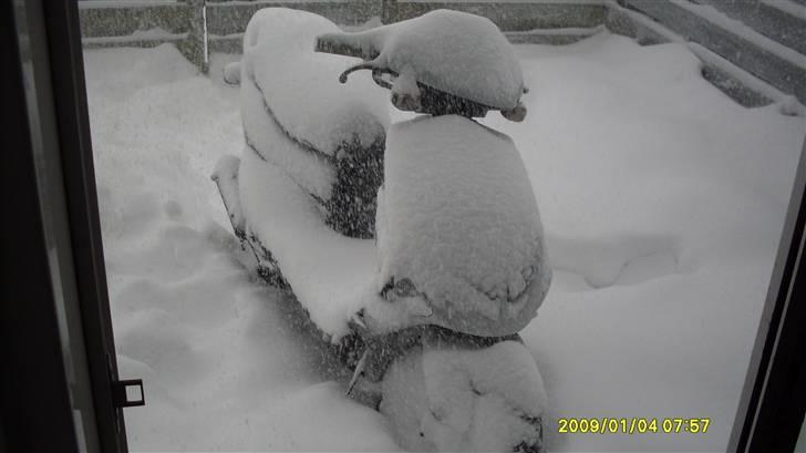 PGO Dr big  a,k,a Big doc billede 12