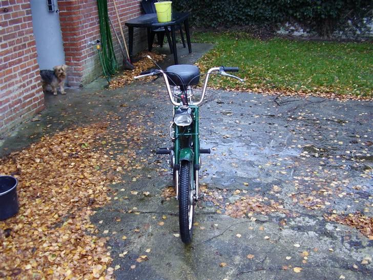 Puch maxi k e50 billede 6