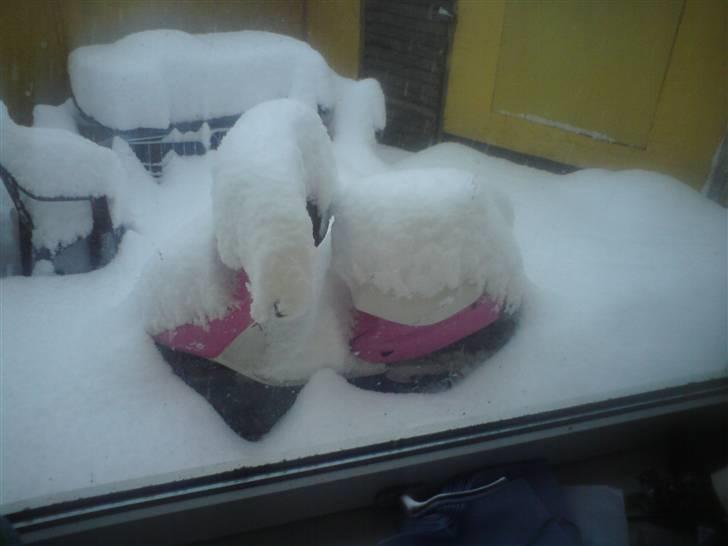 Yamaha jog - sneet inde :-) billede 17