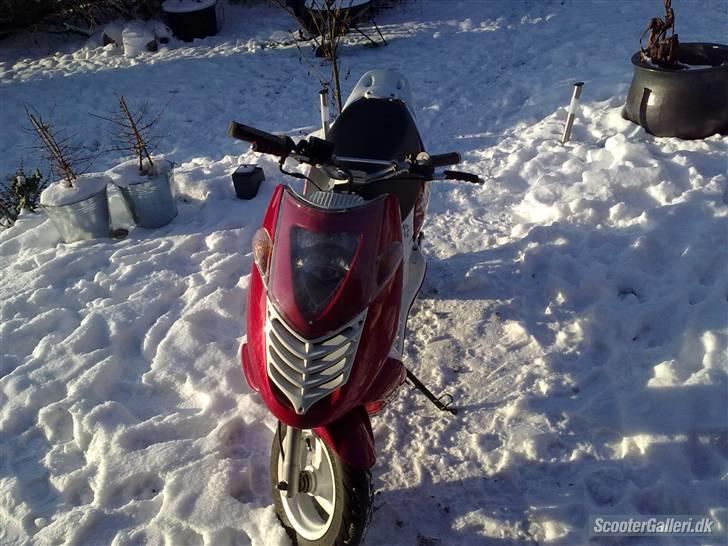 Aprilia Sonic Gp<3 (Byttet) :'( billede 6