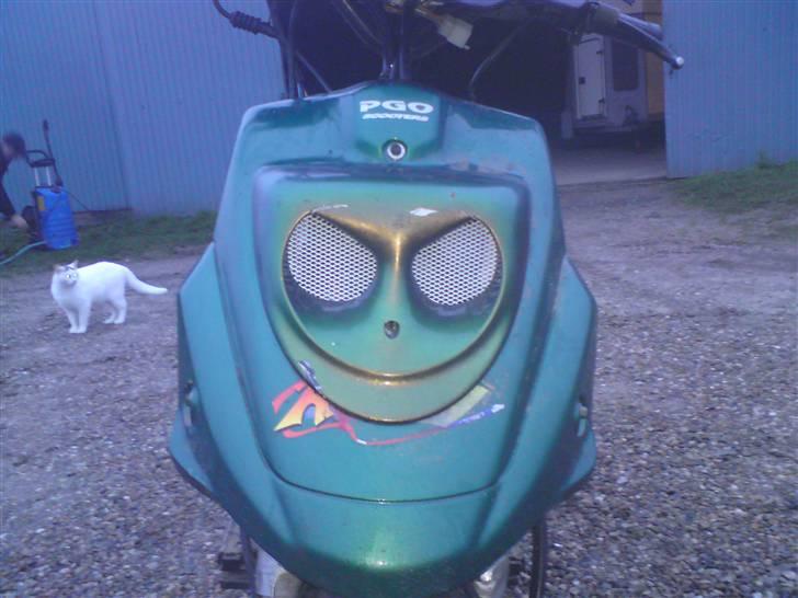 PGO hot 50 solgt billede 11