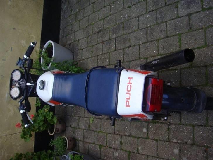 Puch Daytona Solgt billede 2