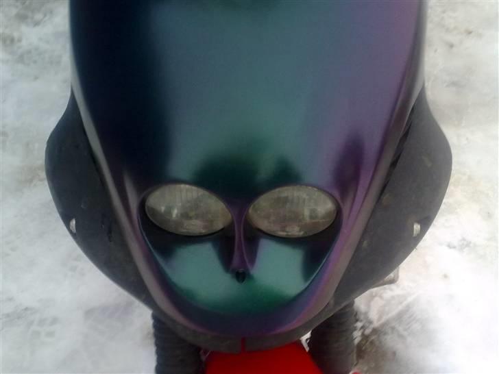 PGO pmx sport billede 1