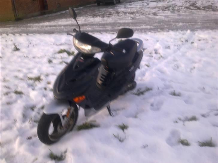 Adly Baboon billede 1