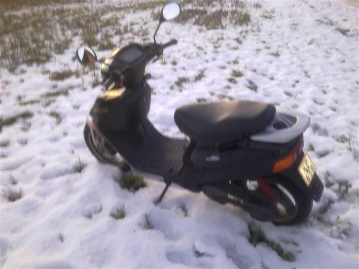 Adly Baboon billede 2