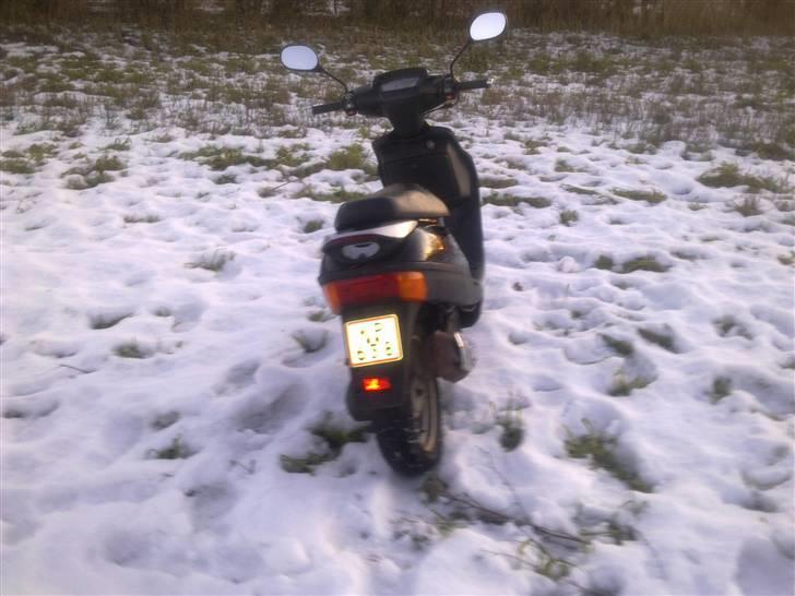 Adly Baboon billede 3