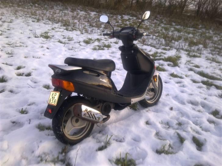 Adly Baboon billede 4