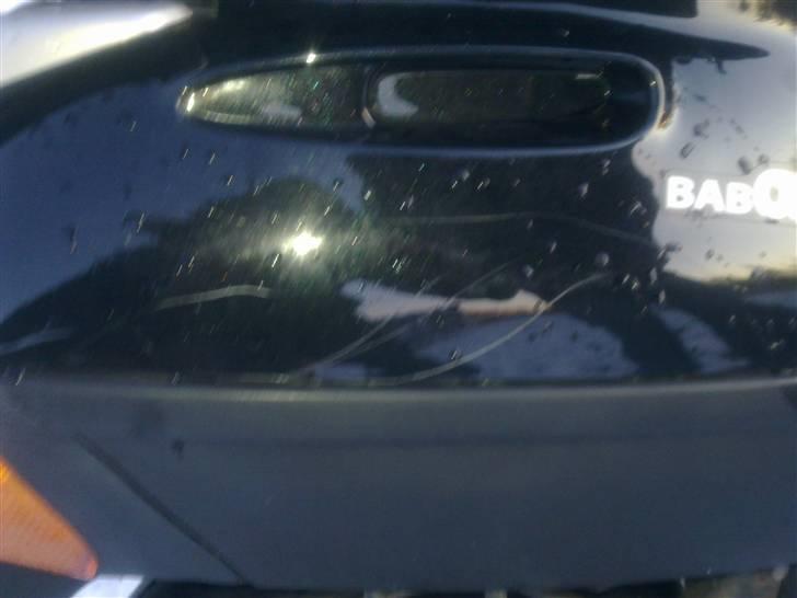 Adly Baboon billede 5