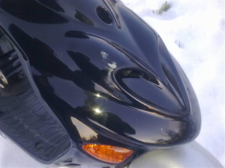 Adly Baboon billede 6