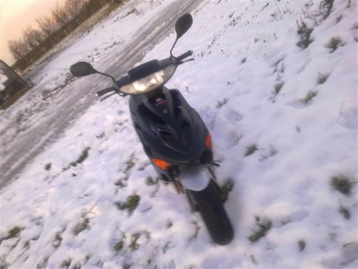 Adly Baboon billede 7