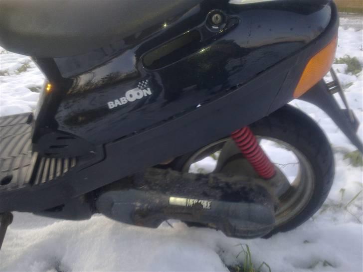 Adly Baboon billede 8