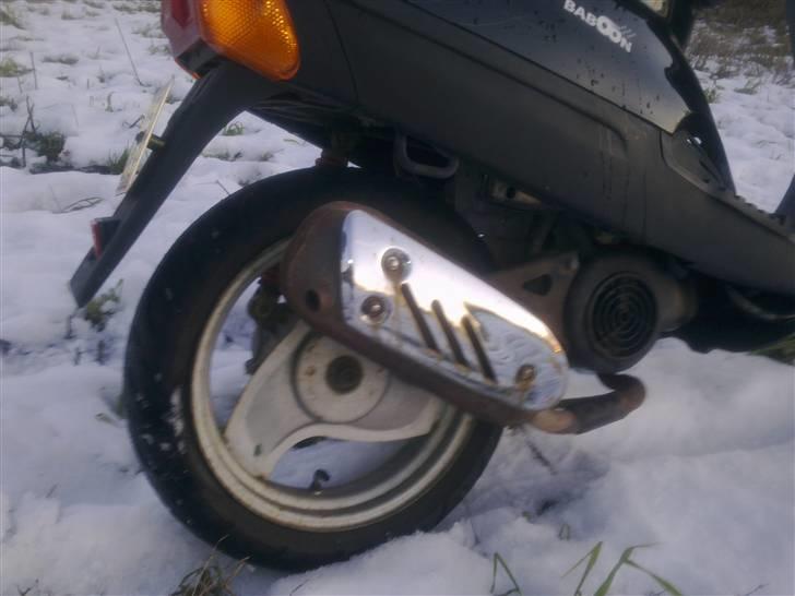 Adly Baboon billede 9